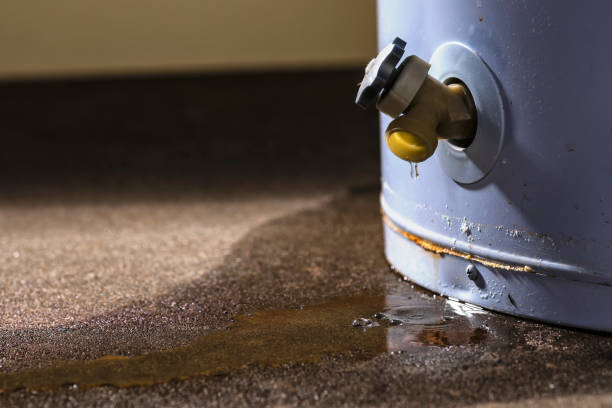 Water damage restoration mold remediation in IA