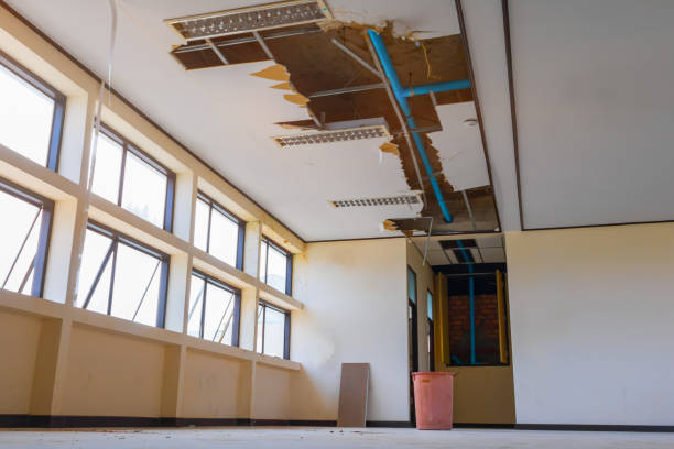 Best Basement water damage restoration  in Oelwein, IA