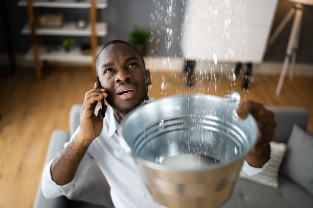 Best Ceiling water damage repair  in Oelwein, IA