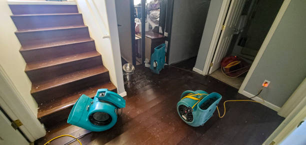  Oelwein, IA Water damage restoration Pros