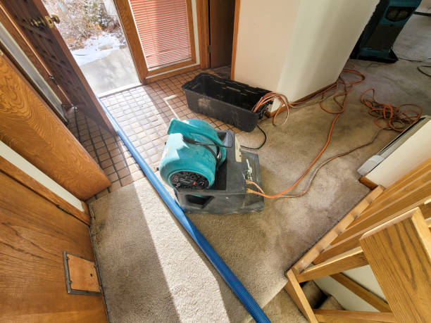 Best Residential water damage restoration  in Oelwein, IA