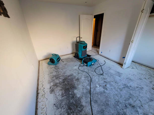 Best Ceiling water damage repair  in Oelwein, IA