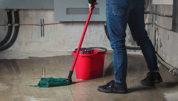 Best Flood damage cleanup  in Oelwein, IA