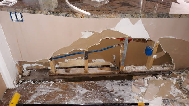 Best Mold removal after water damage  in Oelwein, IA