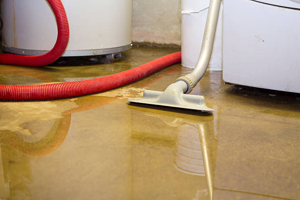 Best Water damage contractors near me  in Oelwein, IA