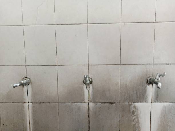 Best Water damage restoration near me  in Oelwein, IA