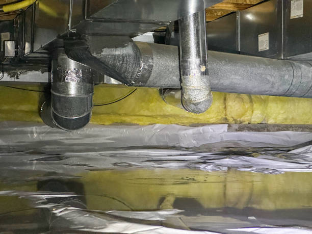 Best Water damage restoration specialists  in Oelwein, IA