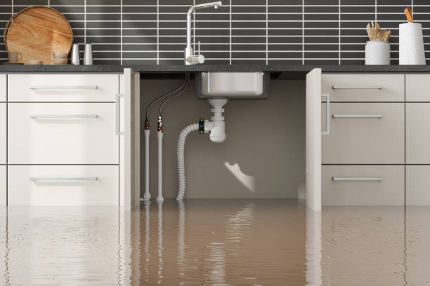 Best Flooded house restoration  in Oelwein, IA