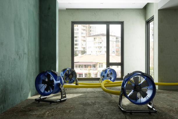 Best Water damage restoration experts  in Oelwein, IA