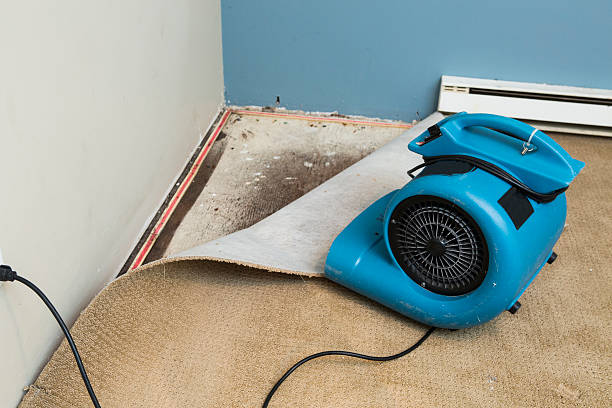 Best Flooded house restoration  in Oelwein, IA
